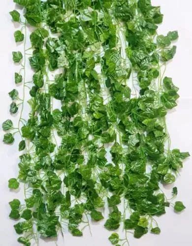 Green Artificial Money Plant Creeper For Decoration Size 65 Inch At