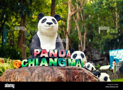 Chiang Mai Zoo Chiang Mai Attractions Stock Photo Alamy