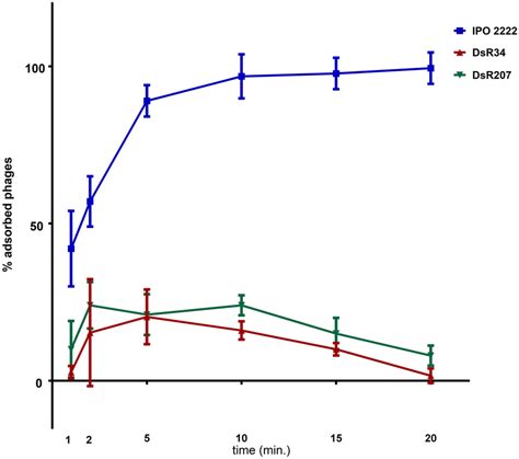 Adsorption Of Φd5 To Cells Of D Solani Ipo 2222 Wild Type Strain And Download Scientific