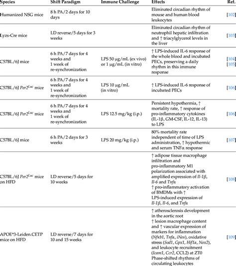 The Effects Of Different Light Phase Shift Paradigms On The Immune