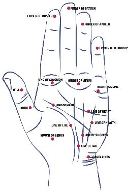 Palm Lines Meaning: Understanding the Secrets of Your Hands