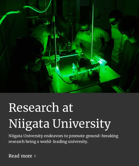 NIIGATA UNIVERSITY