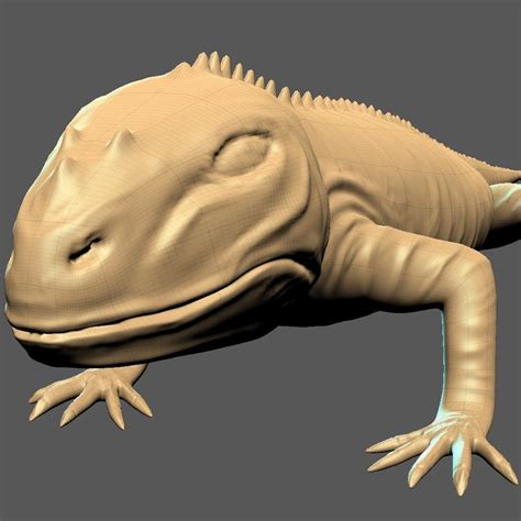 iguana 3d model