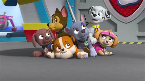 Watch Paw Patrol Season 4 Episode 19 Paw Patrol Sea Patrol Pups