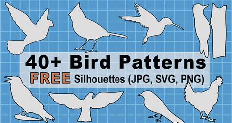 bird patterns print   templates svg jpg