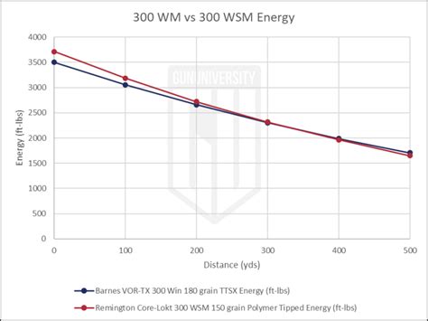 300 Win Mag vs 300 WSM: 2026 Ammo Comparison