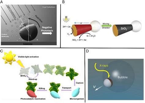 Representative Examples Of Lightdriven Micro Nanomotors A Schematic