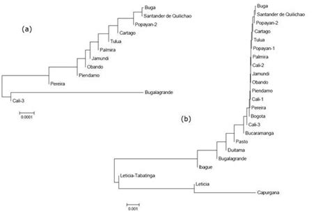 Coat Genetic Markers Of The Domestic Cat Felis Catus Felidae From