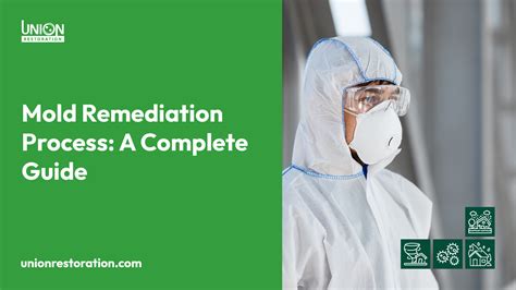 Mold Remediation Process A Complete Guide