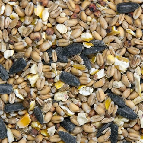 Bucktons Premium Wild Bird Seed Mix 20 Kg Transparent Uk