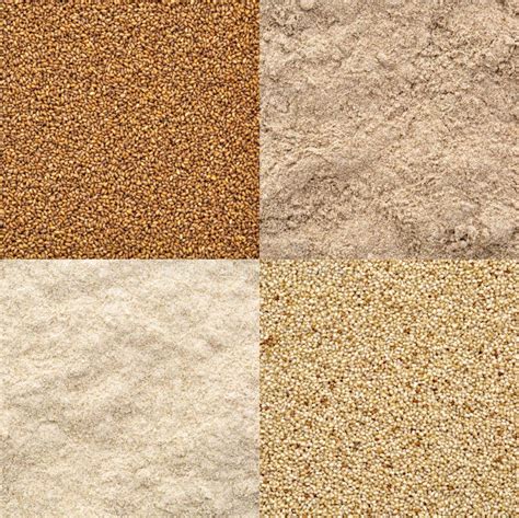 Teff grain and flour set stock photo. Image of ethiopian - 126445416