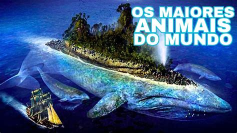 Qual É O Segundo Maior Animal Do Mundo - QUAIS SÃO OS 12 MAIORES ANIMAIS DO PLANETA?? - YouTube