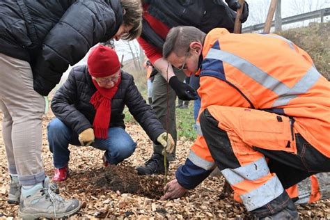 Près de Tours Cette commune plante une micro forêt