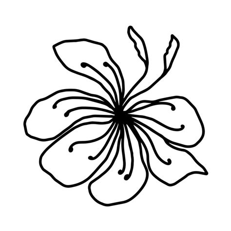 Flower One Line Art Minimalist Contour Hand Drawing Vector