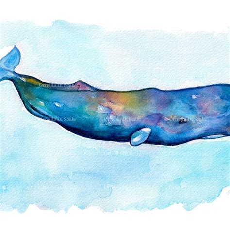 Whale Watercolor Etsy