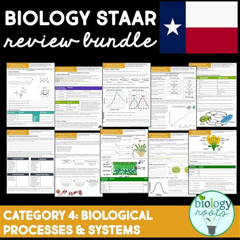 Staar Biology Review Teks Bio 11 And 12 Biological Processes And