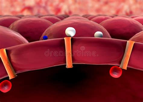 Structure of the molecule stock illustration. Illustration of glucose ...