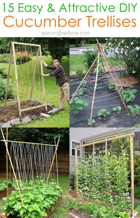 15 Easy Diy Cucumber Trellis Ideas A Piece Of Rainbow