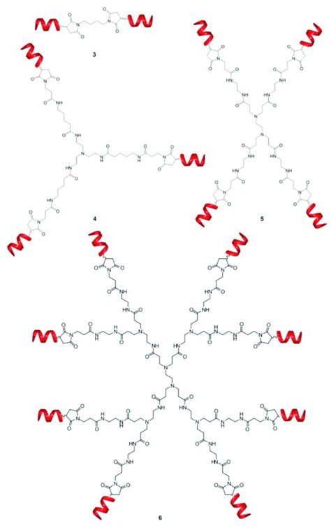 schematic representation  bivalent  trivalent  tetravalent