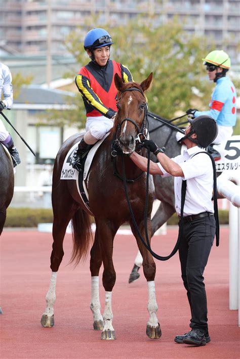 米ダートg1・2勝馬コンスティチューション産駒、サークルオブジョイが芝で初陣勝利／新馬戦 2歳馬特集 競馬写真ニュース 日刊スポーツ