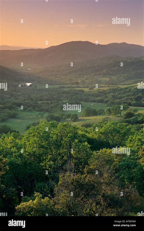 Sunset Over Oak Trees And Valley In Spring Along Adelaida Road Paso