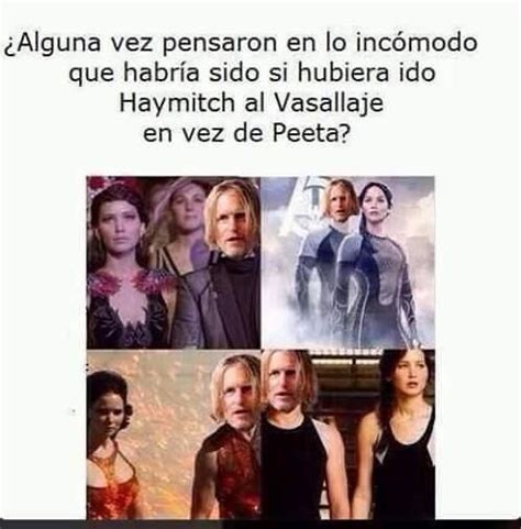 Memes Thg Haymitch Hunger Games Hunger Games Fandom Hunger Games