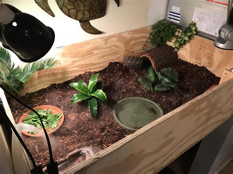 Pin By Tortoise Guy On Giant Tortoises Tortoise Terrarium Tortoise