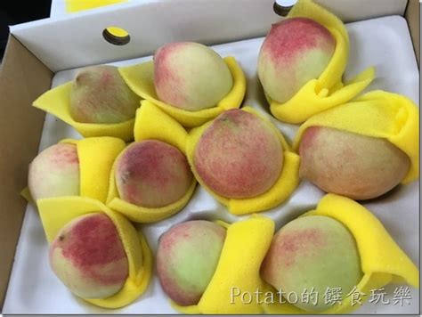 《高雄旅遊》初嘗【那瑪夏水蜜桃】的香甜滋味 Potato的饌食玩樂wp