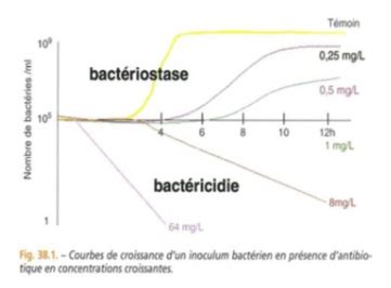 Division Cellulaire Et Croissance Bact Rienne Flashcards Quizlet