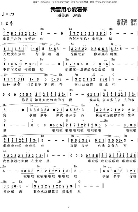 潘美辰《我曾用心爱着你》简谱g调钢琴弹唱谱 小叶歌吉他