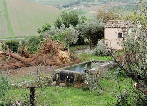 Trombe D Aria Flagellano La Sicilia Un Morto A Modica Case E Aziende