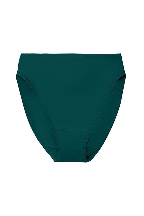 high cut briefs 1