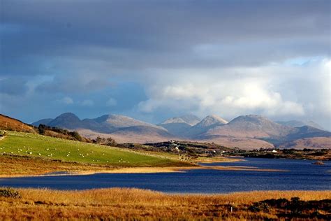 Connemara, Kylemore Abbey or Connemara National Park day tour from ...