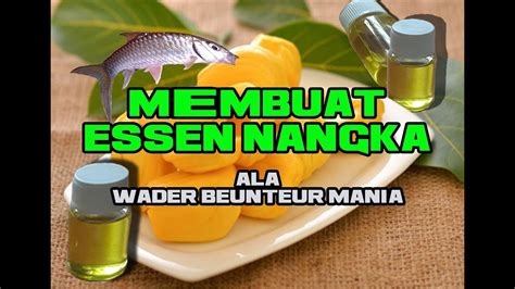 Cara Membuat Essen Nangka Ala Wader Beunteur Mania Youtube