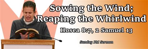 Sowing The Wind Reaping The Whirlwind Hosea 87 2 Samuel 13 Pastor