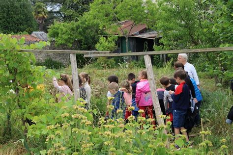 Visite D Couverte Des Jardins Familiaux De La Soci T Dhorticulture D