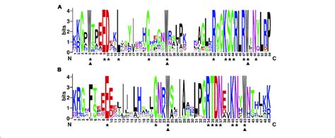 The R2 And R3 Myb Repeats Are Highly Conserved Across All R2r3 Myb