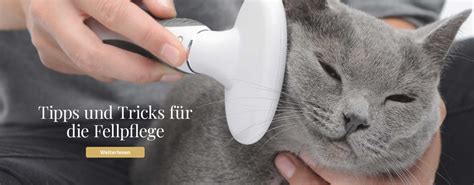 Willkommen bei Catit – Willkommen auf der offiziellen Catit Brand Site