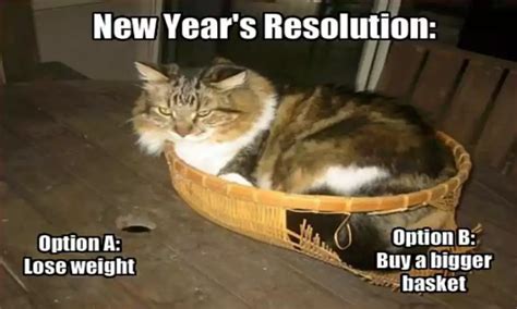 Best Happy New Year Cat Meme 2024 - QuotesProject.Com