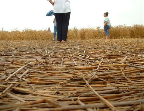 In Photos Mysterious Crop Circles Live Science