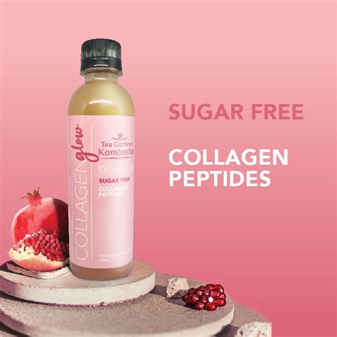 300ml Collagen Glow Kombucha 60 Pack Kombucha Australian Organic