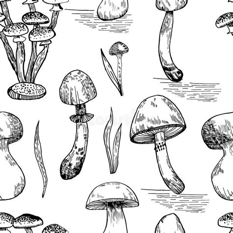 Mushrooms Vector Graphics Pattern Mushrooms Line Art Illustration