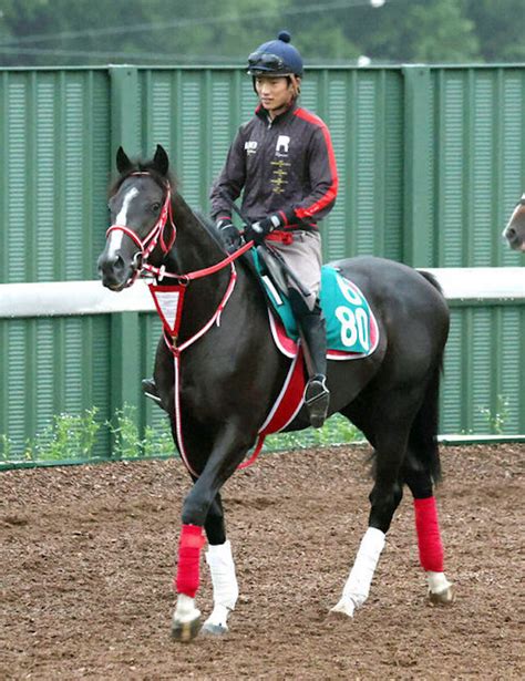 キズナ産駒の特徴とは？有力馬や距離適性・成績を徹底検証 競馬予想サイト解体新書