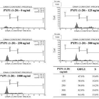 Treatment Of Iec Cells With Pyropia Yezoensis Peptide Pyp