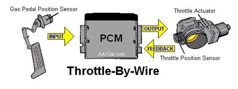 30+ Throttle Actuator Control Module Chevy Silverado Location - Konsul Trek