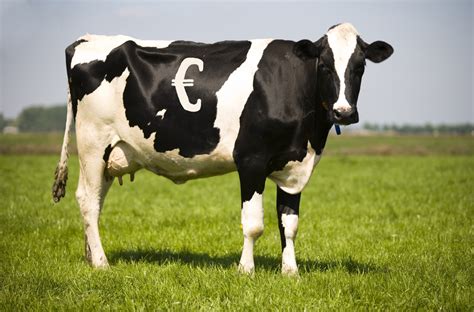 Dairy Farmers Warned Of Boom And Bust Agriland Ie