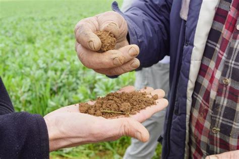 S Installer En Agriculture Biologique Gab