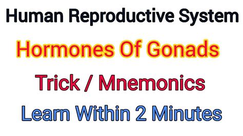 Mnemonics To Learn Hormones Of Gonads Human Reproductive System Youtube