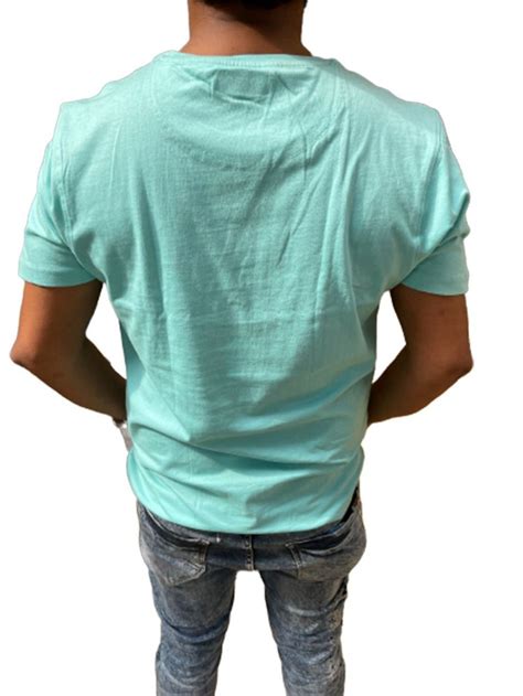 Printed Cotton Sky Blue Round Neck Men T Shirt At Rs 225 Piece In