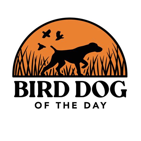 What Kind Of Dog Is A Bird Dog